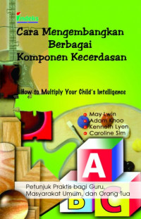 Image of Cara Mengembangkan Berbagai Komponen Kecerdasan   How to Multiply Your Child's Intelligence