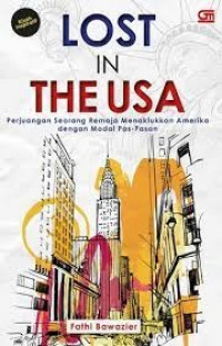 Image of lost In The Usa